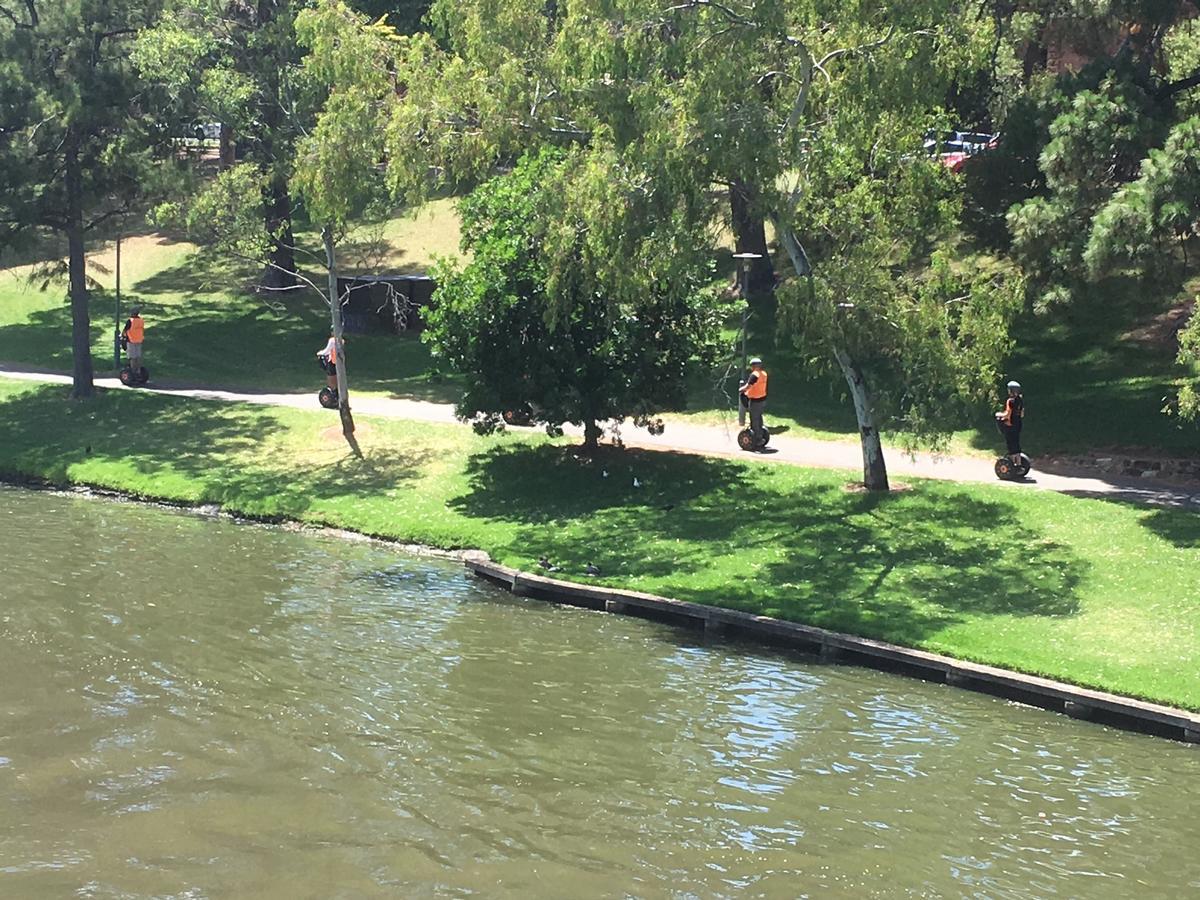 Adelaide Style Accommodation-Getaway In North Adelaide- Close To City Exteriör bild