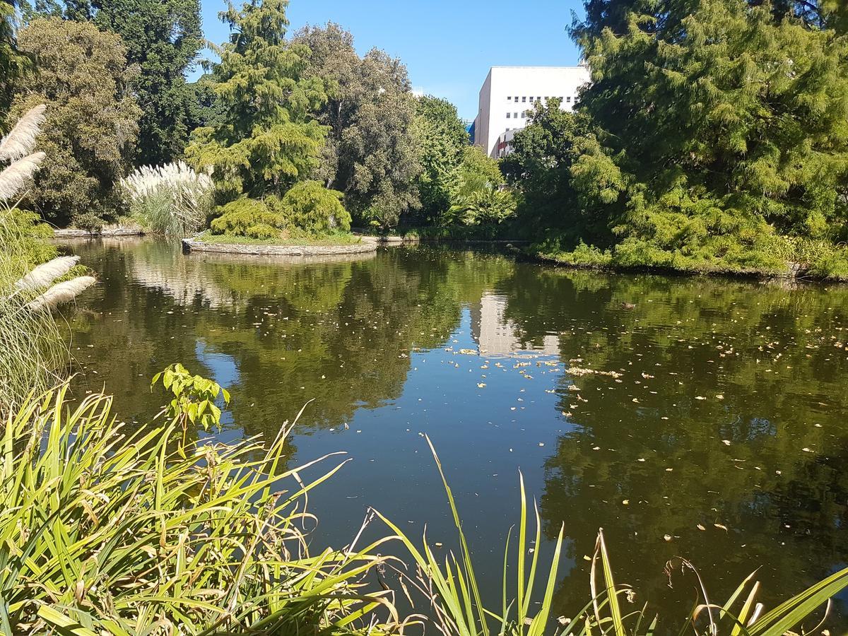 Adelaide Style Accommodation-Getaway In North Adelaide- Close To City Exteriör bild