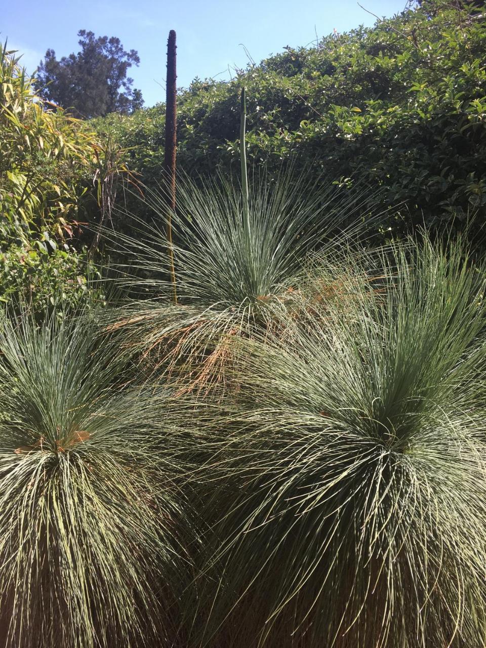 Adelaide Style Accommodation-Getaway In North Adelaide- Close To City Exteriör bild