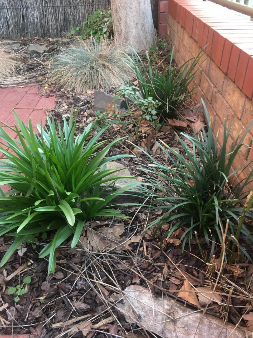 Adelaide Style Accommodation-Getaway In North Adelaide- Close To City Exteriör bild