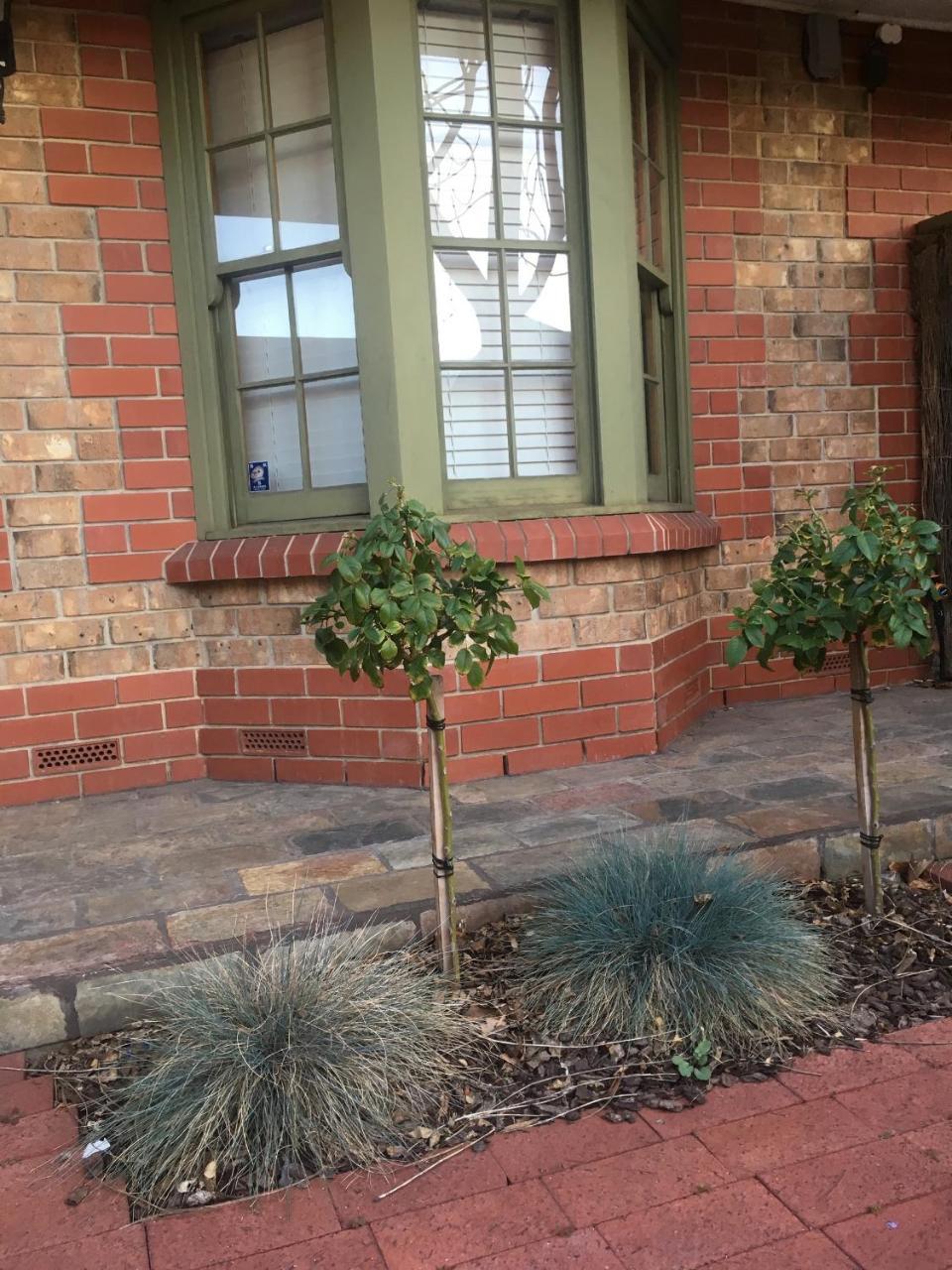Adelaide Style Accommodation-Getaway In North Adelaide- Close To City Exteriör bild